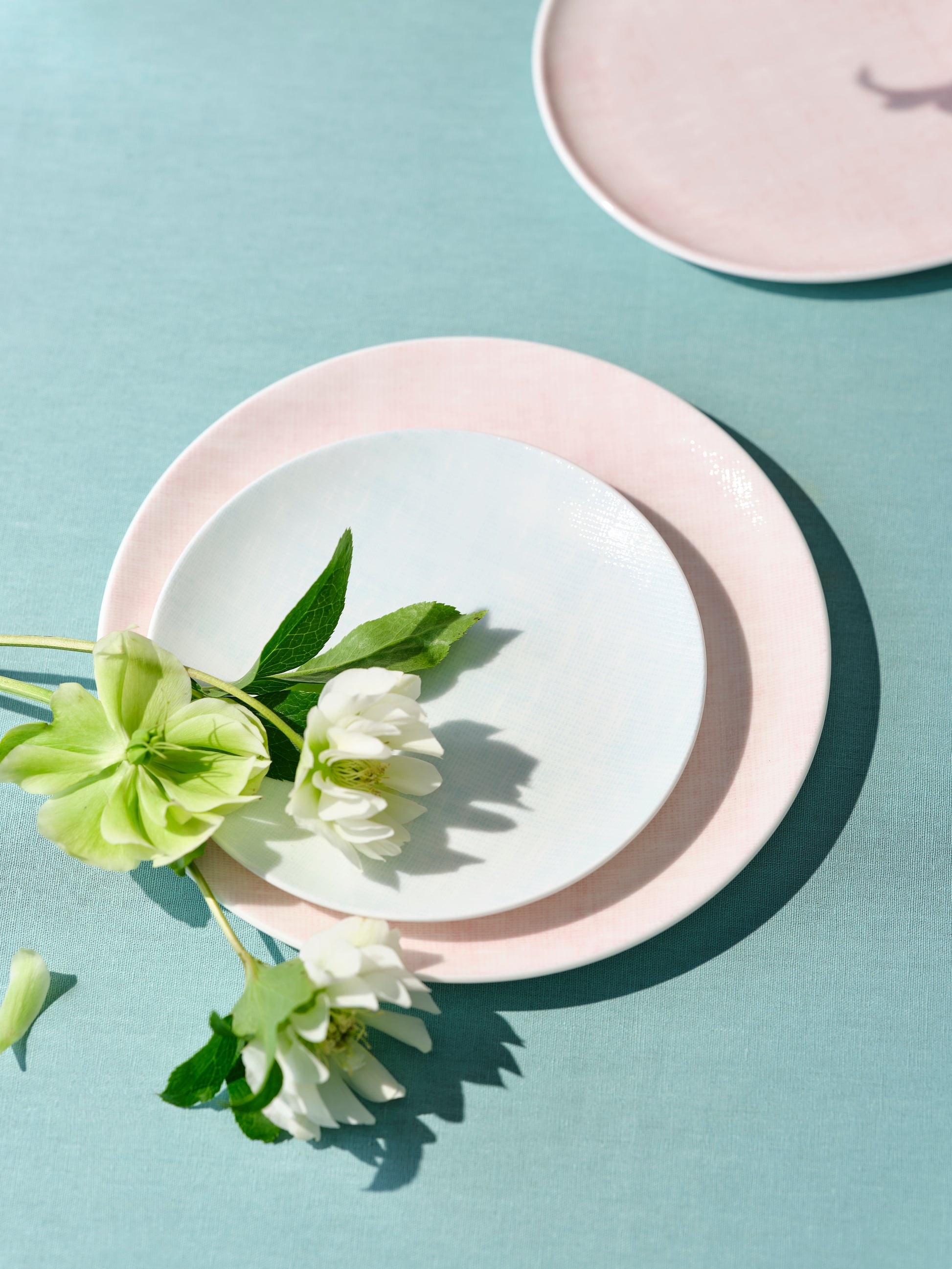 Yeon plates lifestyle image