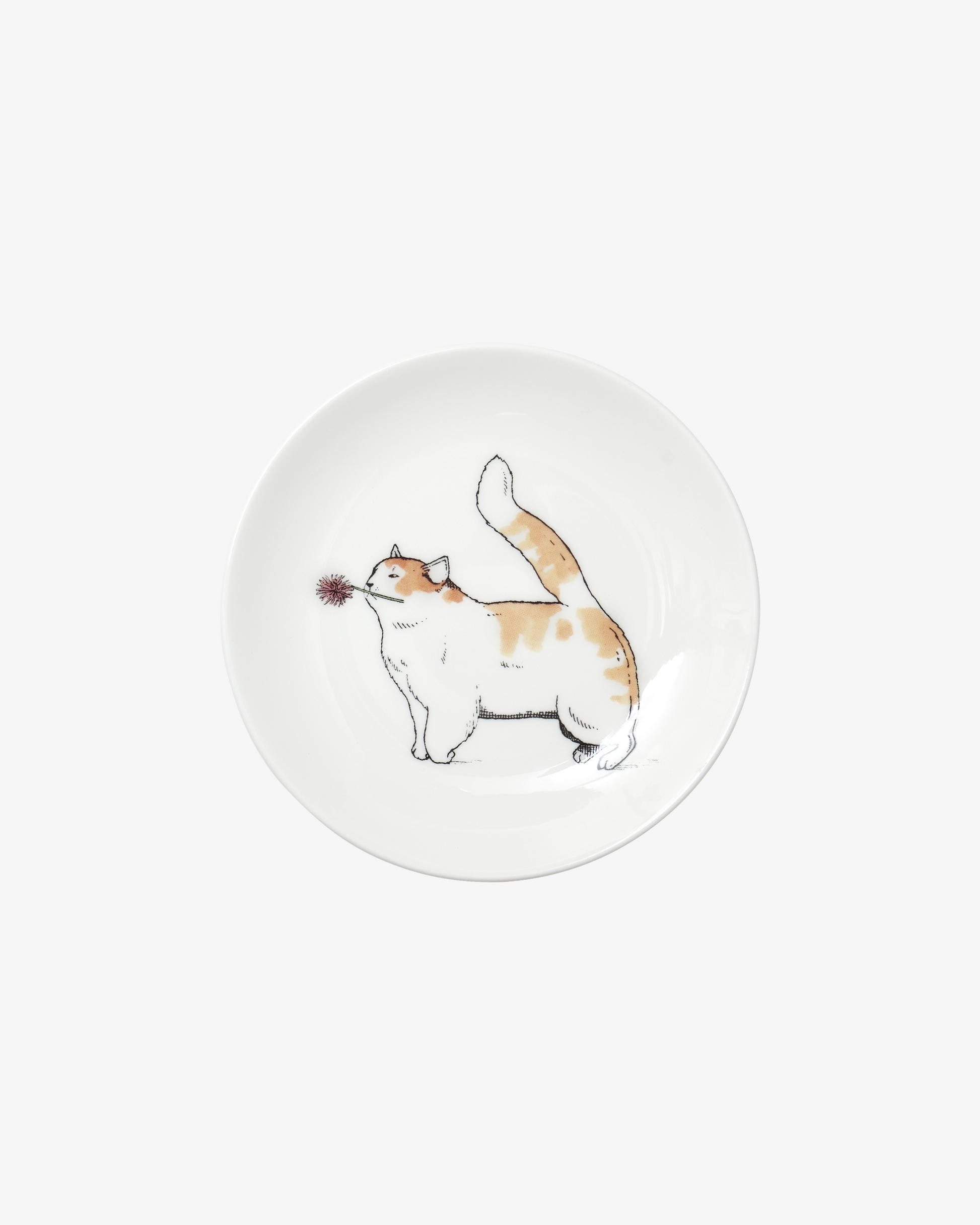 Thibaud Herem Objet - 5" Plate (Happy Cat) transparent background image
