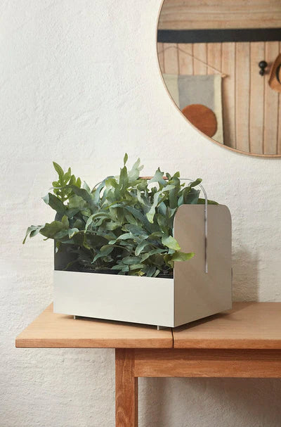 White planter with green plant on a wooden table against a light wall.