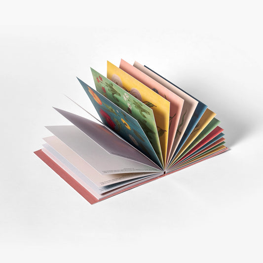 An open book with fanned-out pages in pastel and earthy colors, photographed on a clean white studio background.