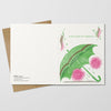 Greeting card with green umbrella on a white background