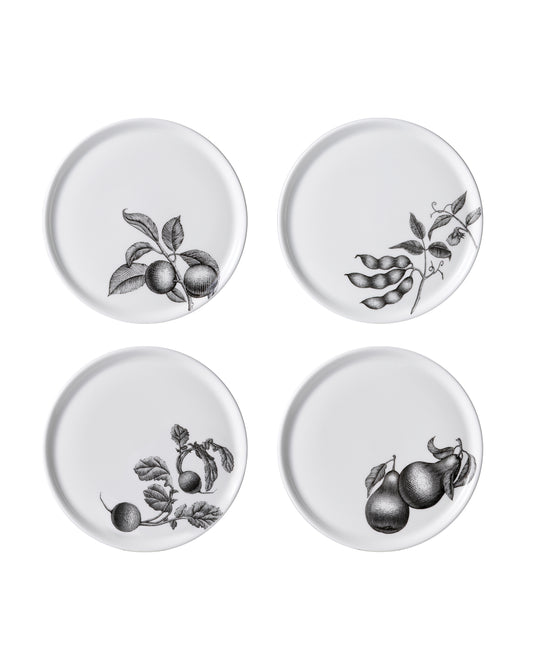 Olive Market - Set of 4, 6 in. Bread Plates