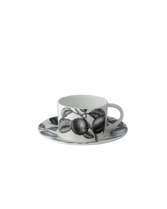 Olive Market - Cup and Saucer