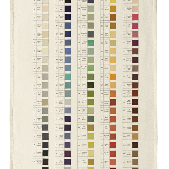 Color swatch chart on a white background