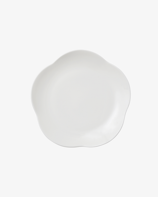 Saesol Salad Plate White Background Image