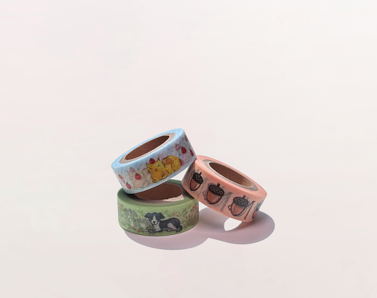 Masking Tape (Measuring Acorns)