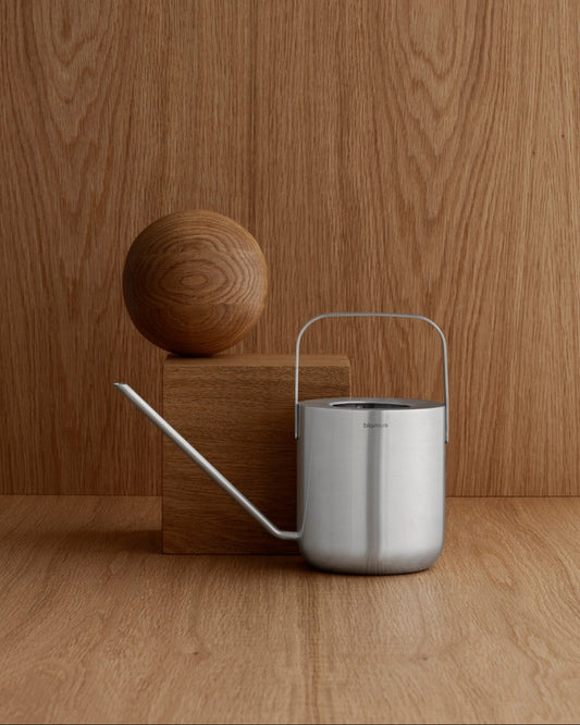 Silver watering can and wooden ball on a wooden surface with a wooden wall background