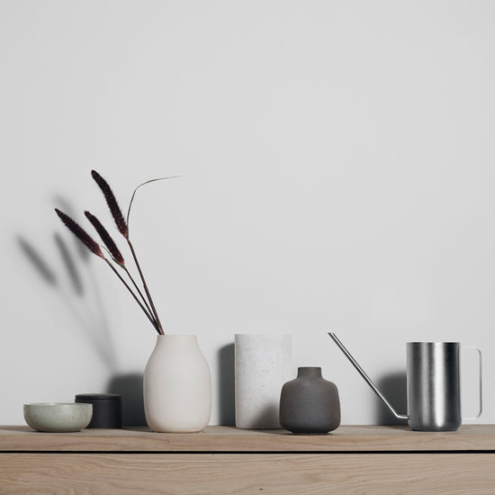 Minimalist setup with vases, a watering can, and a plant on a wooden surface against a light gray wall.