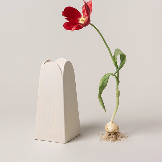 White vase with a red tulip emerging from it on a light gray background