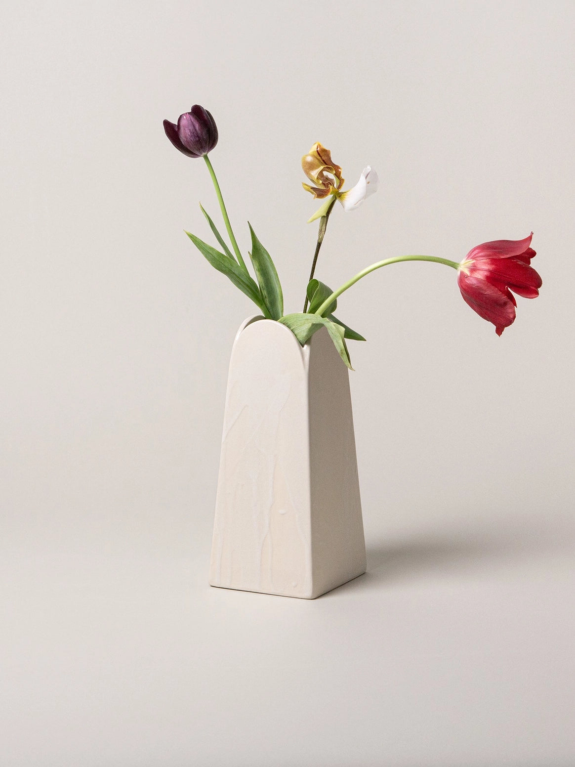 White vase with tulips on a light gray background